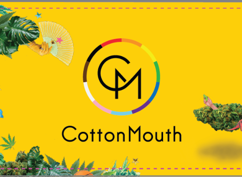CottonMouth Boutique Cannabis Store